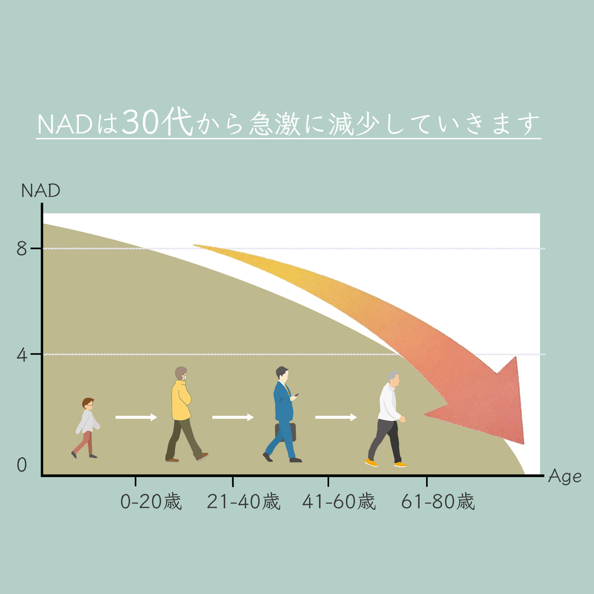 パールNMN18000