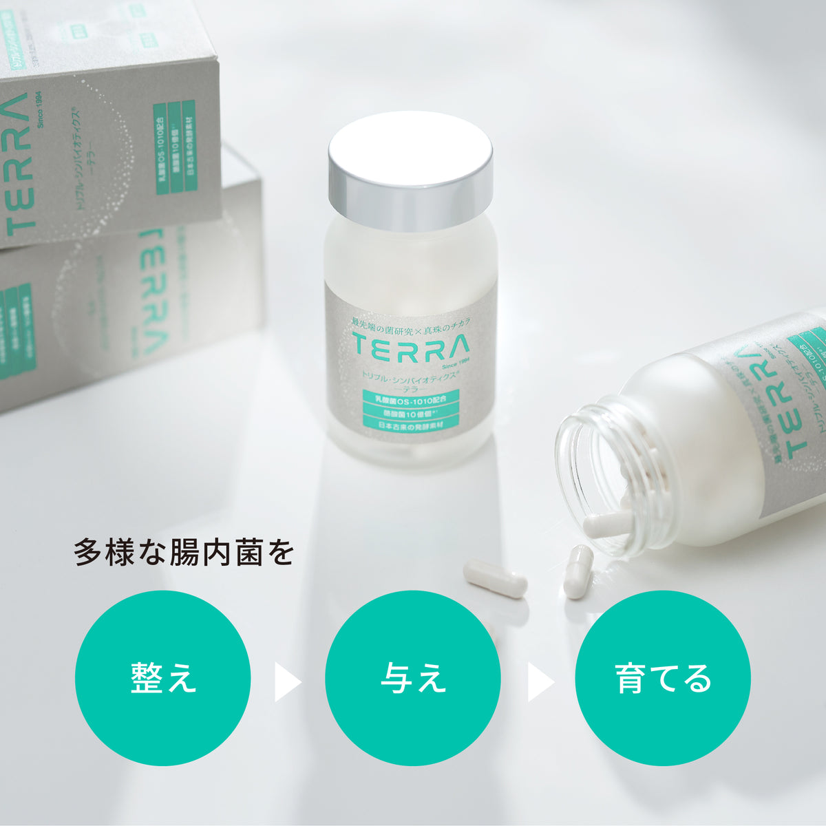 TERRA(テラ) 次世代腸活エイジングケアサプリメント 特許成分 植物性乳酸菌OS-1010配合