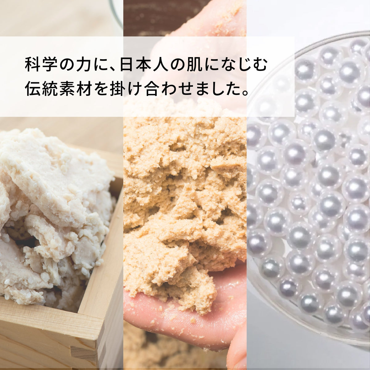 TERRA(テラ) 次世代腸活エイジングケアサプリメント 特許成分 植物性乳酸菌OS-1010配合