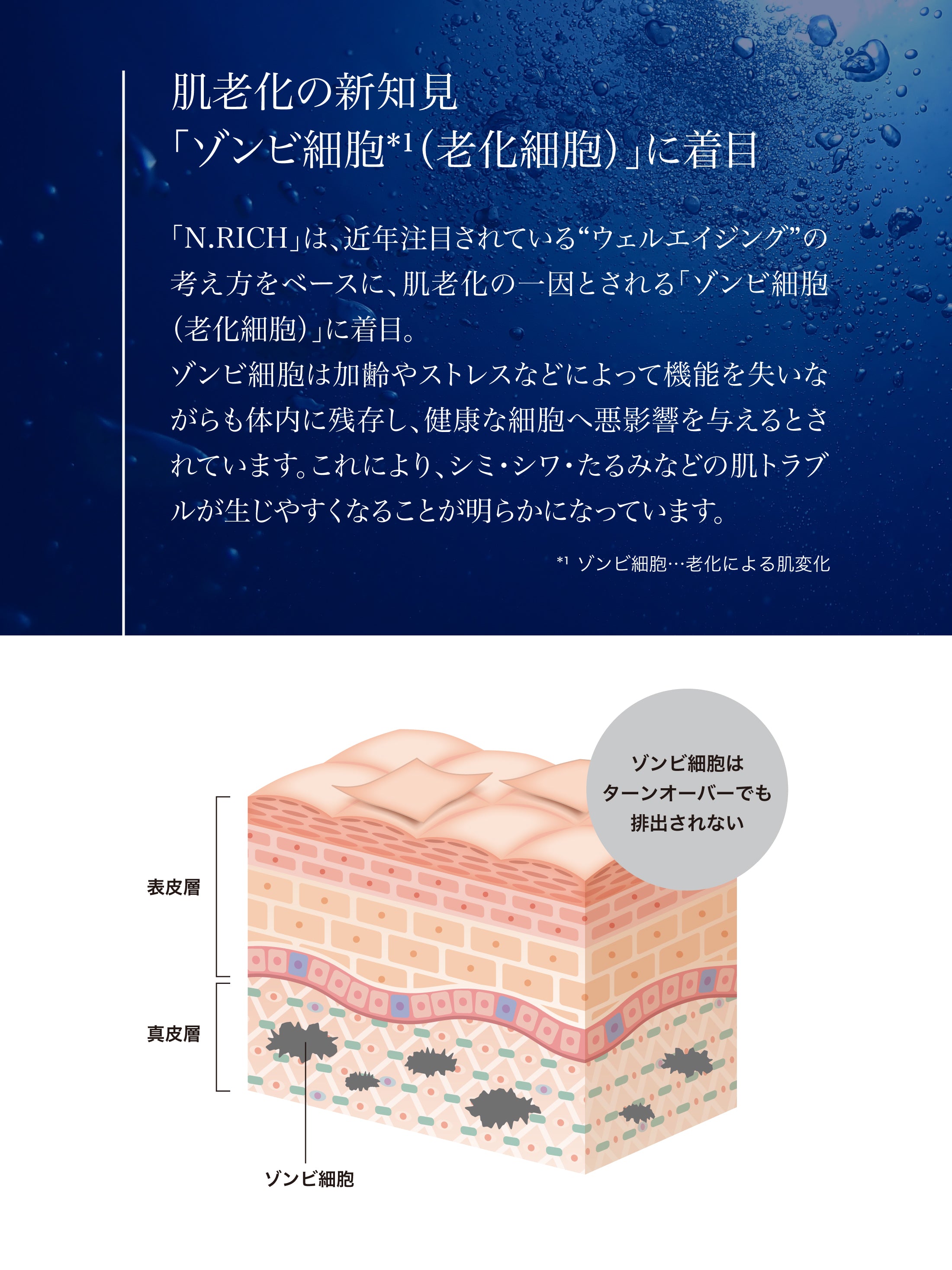 エヌリッチ クリーム – WSP beauty | madama・hada (真珠肌) Official Site