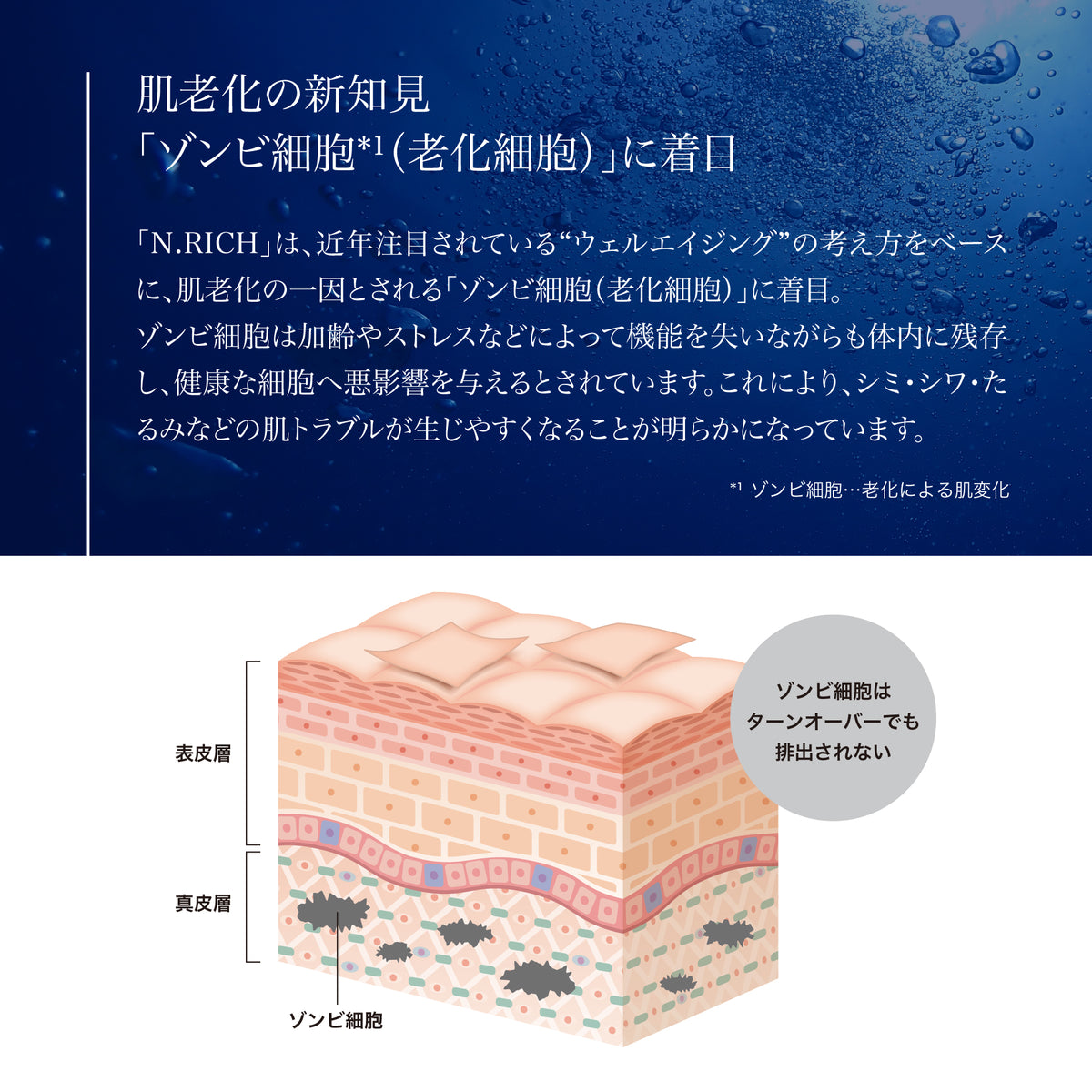 エヌリッチ エッセンスMQ-1