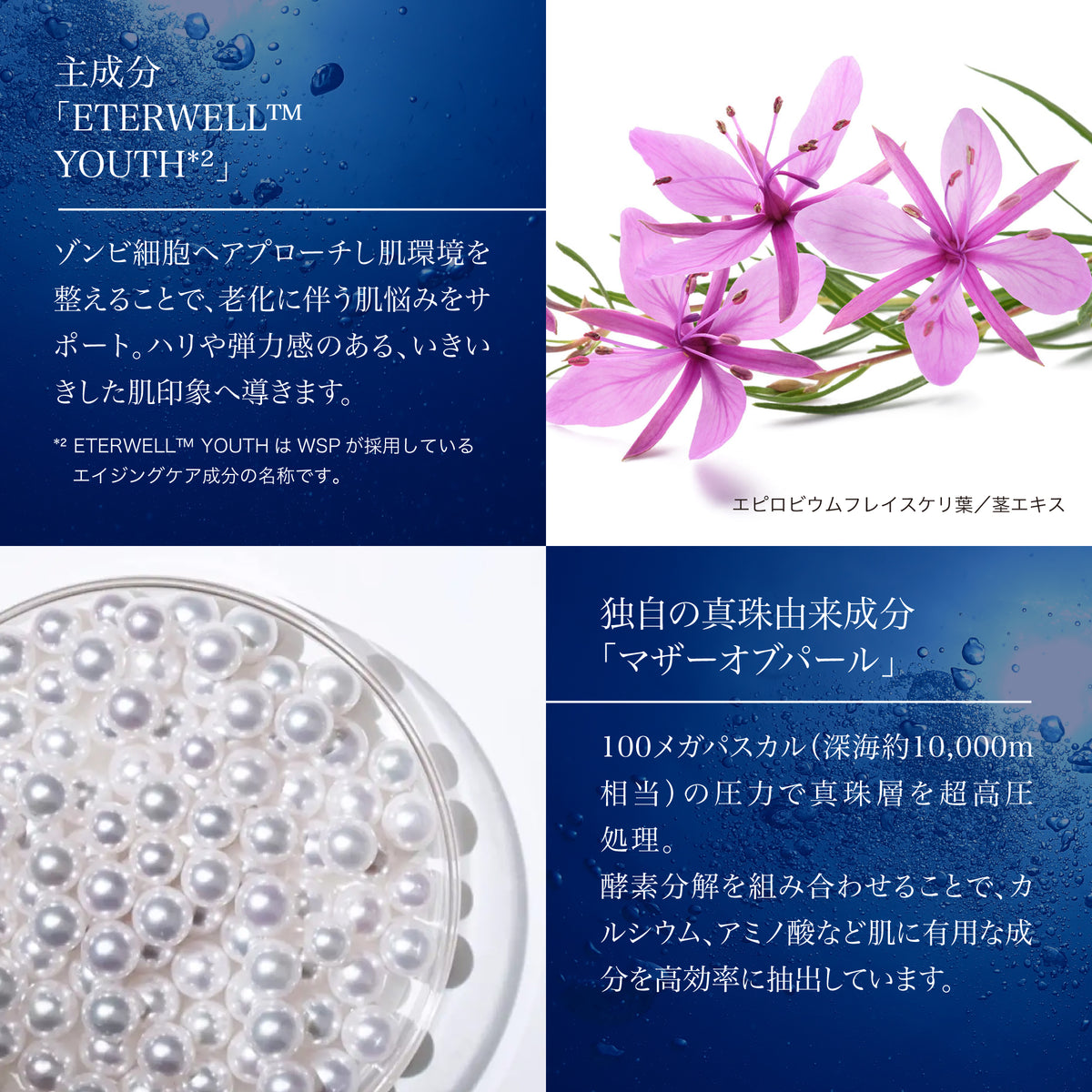 エヌリッチ クリーム