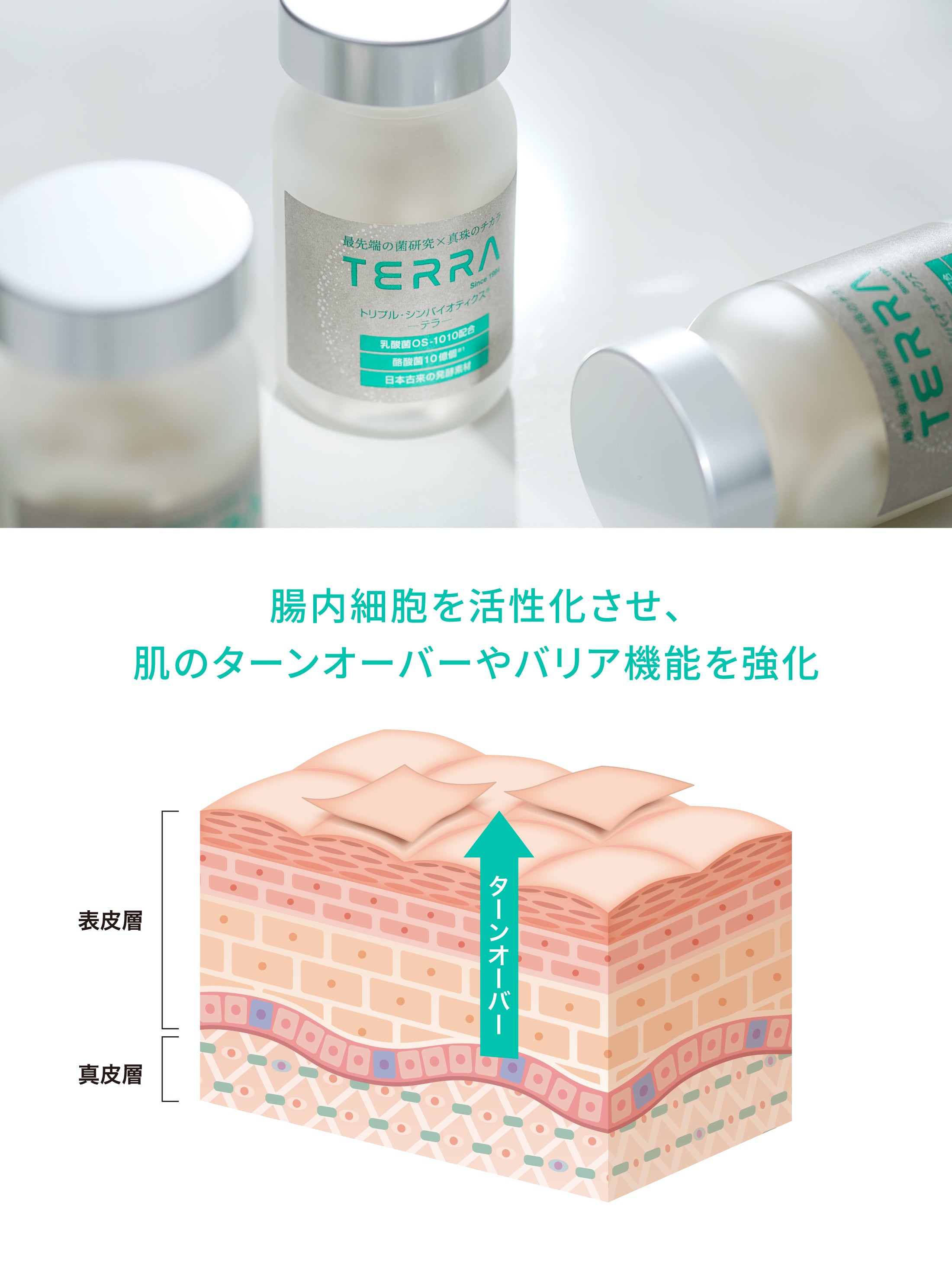 TERRA(テラ) 次世代腸活エイジングケアサプリメント 特許成分 植物性